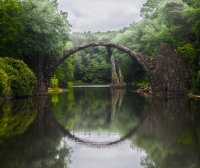 桃花心木 林清玄